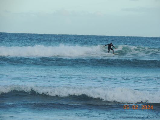 Surfer in Action